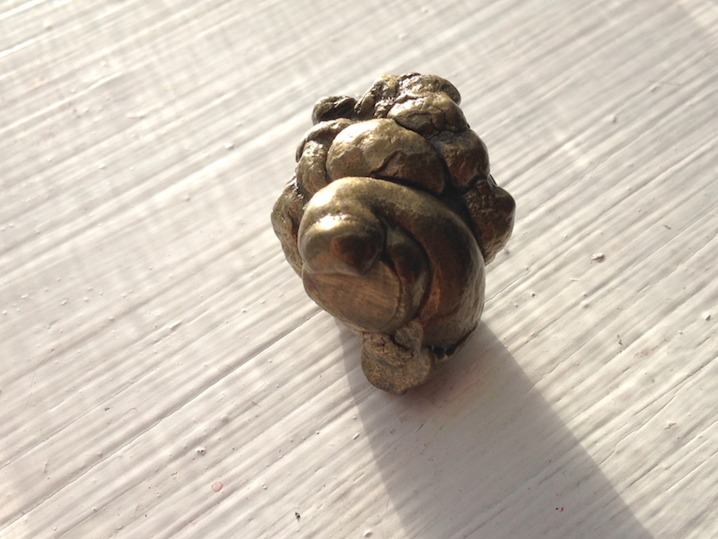 Small pyrite fossilized faeces (golden blob of poop)