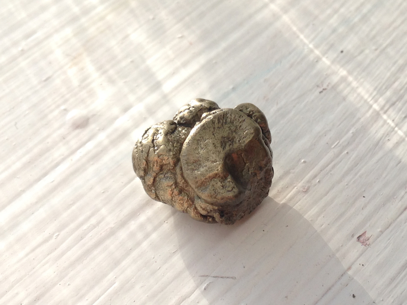 Small pyrite fossilized faeces (golden blob of poop)